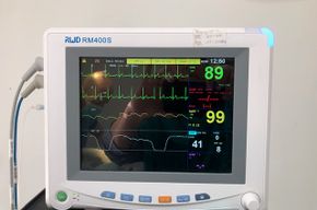 Ultraschall Tiere Obergünzberg